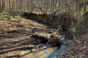 265 Griffin Rd, Martin, GA 30557 - Photo 20