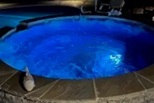 2216 Blackberry Ct, Monroe, GA 30656 - Photo 54