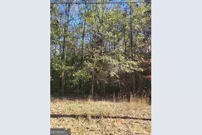 0 Lumpkin Street, Albany, GA 31705 - Photo 2