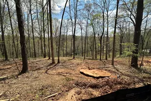 607 Forest Pointe Dr, Forsyth, GA 31029 - Photo 12