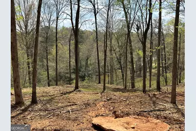 607 Forest Pointe Drive, Forsyth, GA 31029 - Photo 36