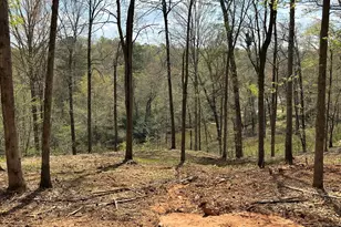 607 Forest Pointe Dr, Forsyth, GA 31029 - Photo 36