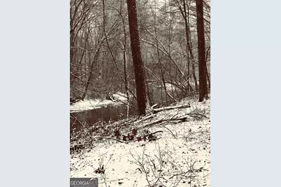 297 Old Clarkesville Mill Road, Clarkesville, GA 30523 - Photo 46