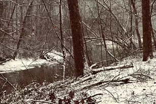 297 Old Clarkesville Mill Rd, Clarkesville, GA 30523 - Photo 46