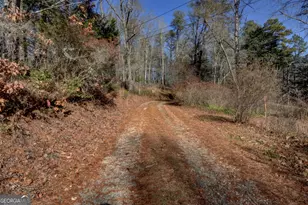 100 Saga Mountain Rd, Tiger, GA 30576 - Photo 2