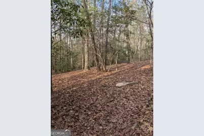 193 Opossum Road #61, Blairsville, GA 30512 - Photo 12