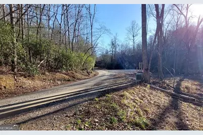 193 Opossum Road #61, Blairsville, GA 30512 - Photo 2