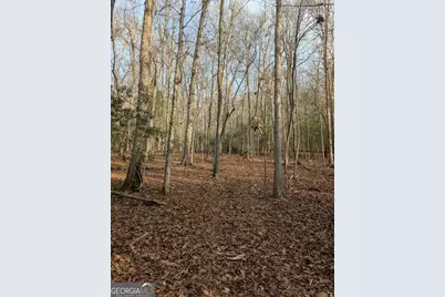 193 Opossum Road #61, Blairsville, GA 30512 - Photo 16