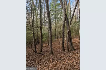 193 Opossum Road #61, Blairsville, GA 30512 - Photo 8