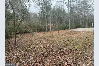 193 Opossum Road #61, Blairsville, GA 30512 - Photo 18