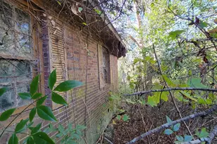 11 Zanders Ave, McRae-Helena, GA 31055 - Photo 4