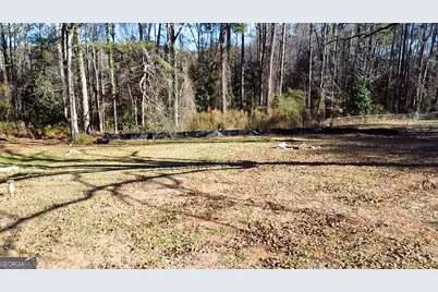 105 David Road, Hampton, GA 30228 - Photo 36