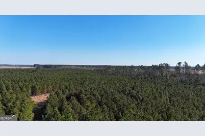 0088 003A Pine Level Church Road, Hazlehurst, GA 31539 - Photo 14