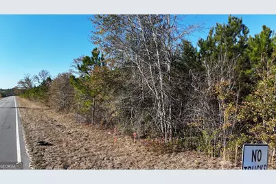 0088 003A Pine Level Church Road, Hazlehurst, GA 31539 - Photo 18