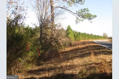 0088 003A Pine Level Church Road, Hazlehurst, GA 31539 - Photo 2