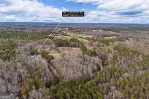 415 Old Jones Rd, Whitesburg, GA 30185 - Photo 42