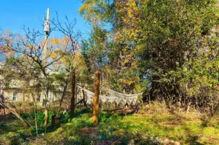 75 Arch St, Athens, GA 30601 - Photo 14