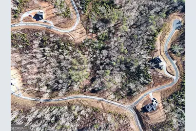 Lot 173 Lecroy Drive, Ellijay, GA 30540 - Photo 34