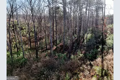 Lot 173 Lecroy Drive, Ellijay, GA 30540 - Photo 16