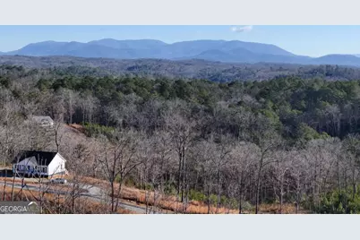 Lot 173 Lecroy Drive, Ellijay, GA 30540 - Photo 30