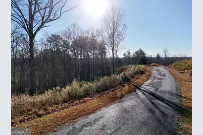 Lot 173 Lecroy Drive, Ellijay, GA 30540 - Photo 6