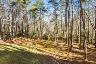 41 Brumby Trail, Ellijay, GA 30536 - Photo 6