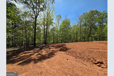 7048 Nichols Cove Drive, Dawsonville, GA 30534 - Photo 14