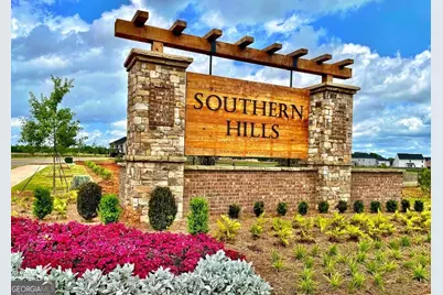 203 Crabapple Road #265, McDonough, GA 30253 - Photo 48