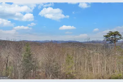 990 Hickory Nut Mountain, Tallulah Falls, GA 30573 - Photo 66