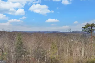 990 Hickory Nut Mountain, Tallulah Falls, GA 30573 - Photo 66