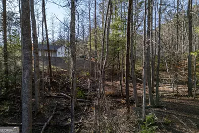 40 Huntington Ridge Road, Blairsville, GA 30512 - Photo 66