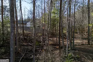 40 Huntington Ridge Rd, Blairsville, GA 30512 - Photo 66