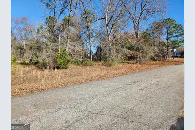 0 Tyler Court, Fort Valley, GA 31030 - Photo 4