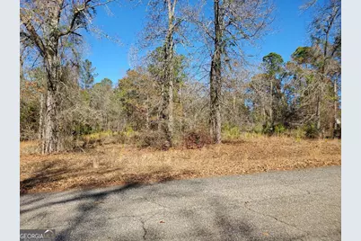 0 Tyler Court, Fort Valley, GA 31030 - Photo 2