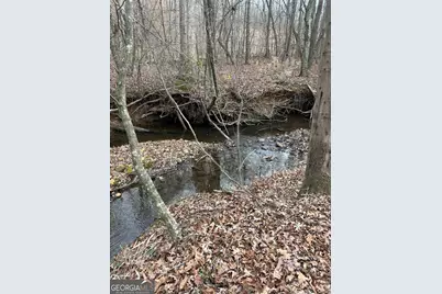 1425 Dowdy, Roopville, GA 30170 - Photo 4