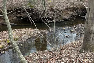 1425 Dowdy, Roopville, GA 30170 - Photo 4