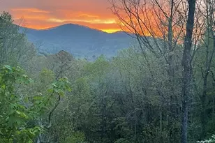 420 Hidden Acres Ln, Clayton, GA 30525 - Photo 44