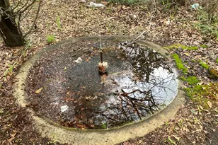 1358 1st Ave, Rochelle, GA 31079 - Photo 36