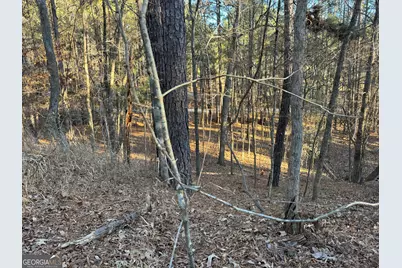 1421 Pullman Lane, Greensboro, GA 30642 - Photo 8