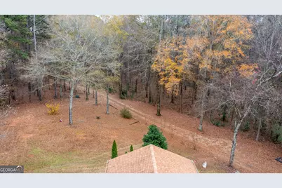 6290 Highway 54, Sharpsburg, GA 30277 - Photo 76