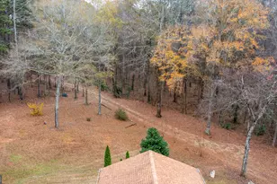 6290 Hwy 54, Sharpsburg, GA 30277 - Photo 76