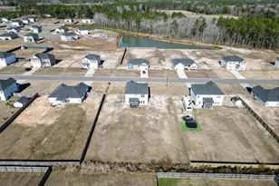 182 Whippoorwill Wy NE, Ludowici, GA 31316 - Photo 50