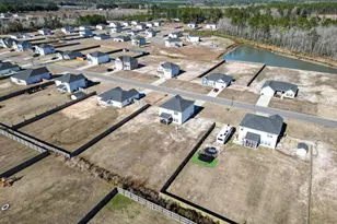 182 Whippoorwill Wy NE, Ludowici, GA 31316 - Photo 52