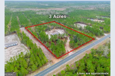 1062 Boots Harrison Road, Hortense, GA 31543 - Photo 2