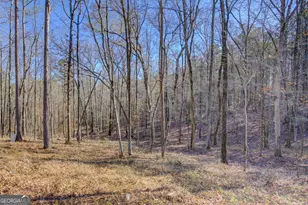 131 Woods Rd, Juliette, GA 31046 - Photo 68