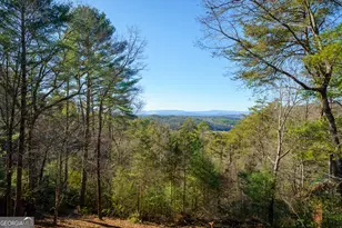363 Crestview Drive, Morganton, GA 30560 - Photo 28