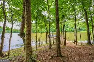 42 Deer Pointe Ct, Lagrange, GA 30240 - Photo 66