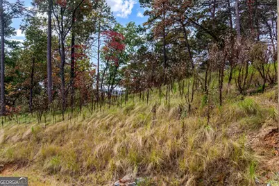 Lot 269 Canoe Way, Talking Rock, GA 30175 - Photo 12