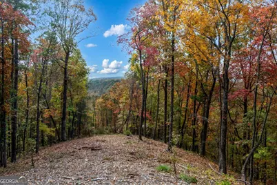 Lot 269 Canoe Way, Talking Rock, GA 30175 - Photo 20