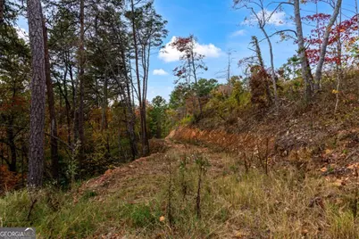 Lot 269 Canoe Way, Talking Rock, GA 30175 - Photo 14